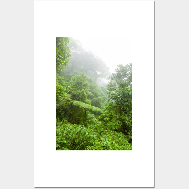 Misty rainforest in Monteverde cloud forest reserve Wall Art by Juhku